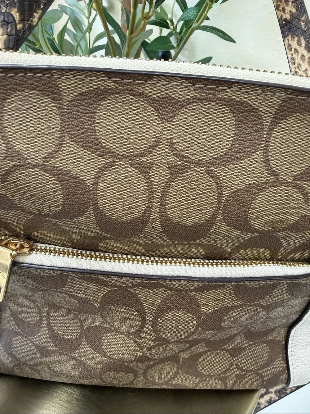 COACH Kacey Satchel colorblock signatute canvas